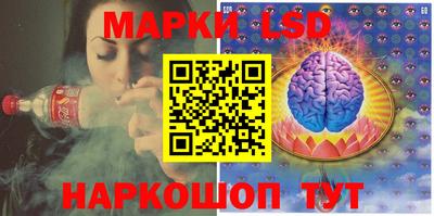 индика Новодвинск
