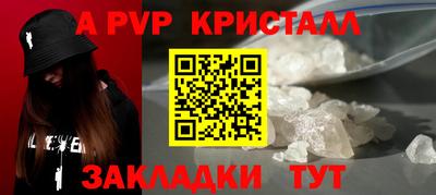индика Новодвинск