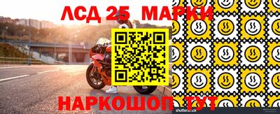 индика Новодвинск