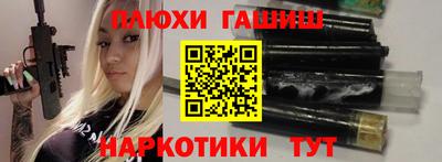 индика Новодвинск